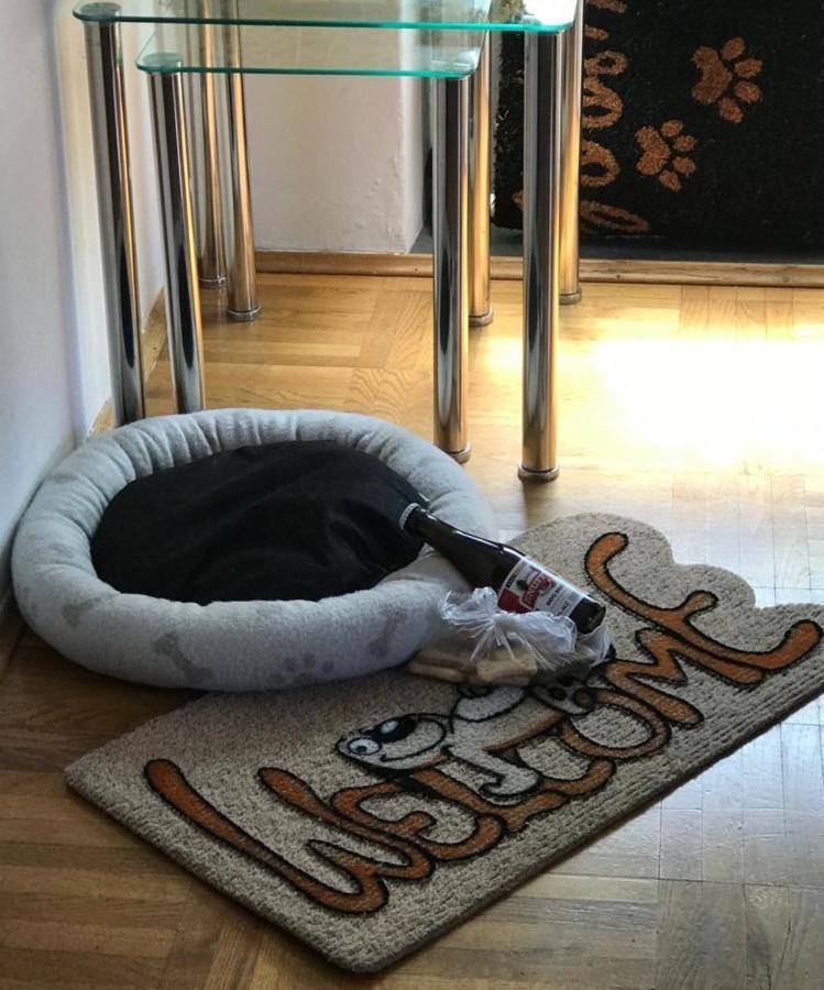 Apartment Aquamarin, Blizu Mora S Pogledom Na More, Za Do 6 Osoba Malinska Luaran gambar